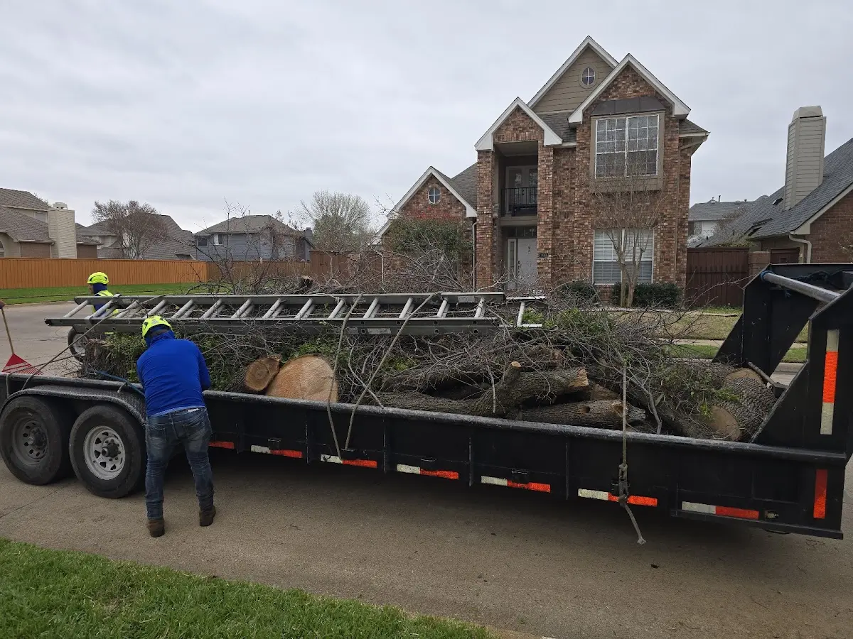Expert Lot Clearing with proper safety equipment in Rancho Cucamonga